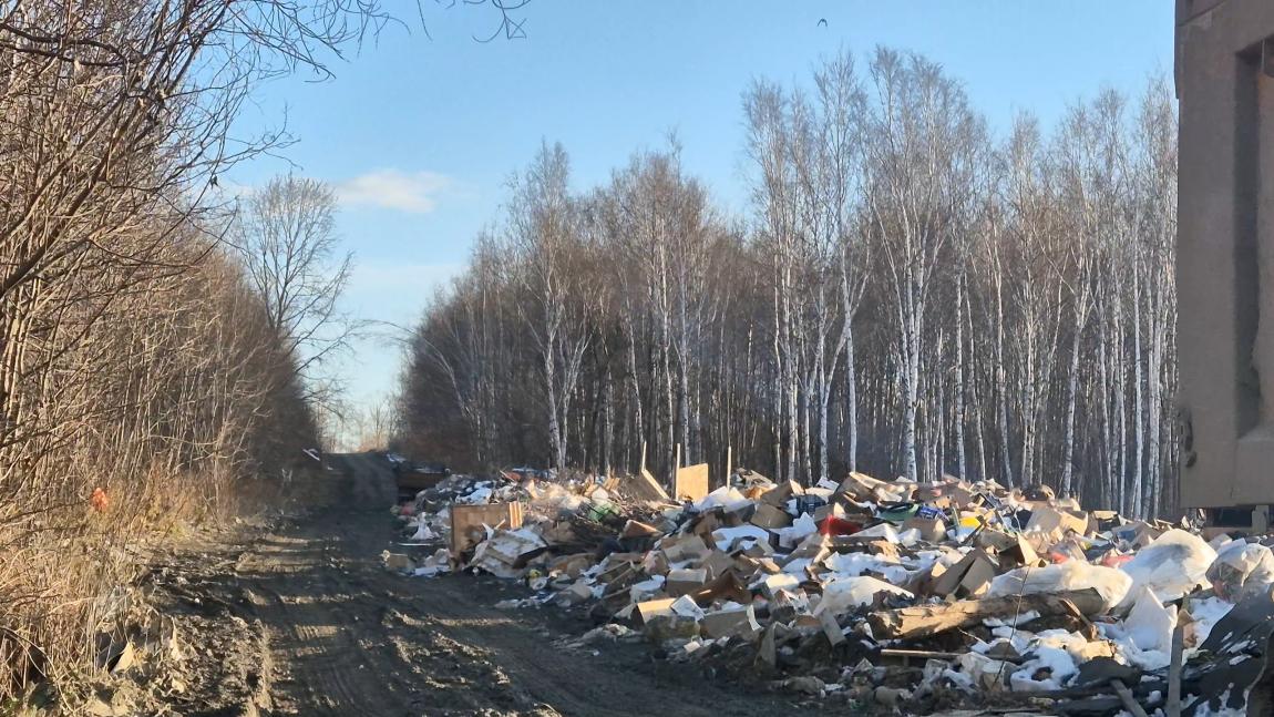 В Хабаровском крае по иску природоохранного прокурора на юридическое лицо возложена обязанность ликвидировать крупную свалку рядом с городом Амурском