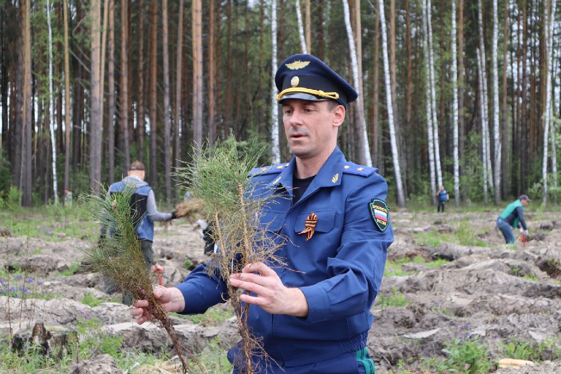 Прокурор Томской области Сергей Ломакин принял участие в ежегодной Всероссийской акции «Сад памяти», объединяющей людей вокруг важной и значимой цели