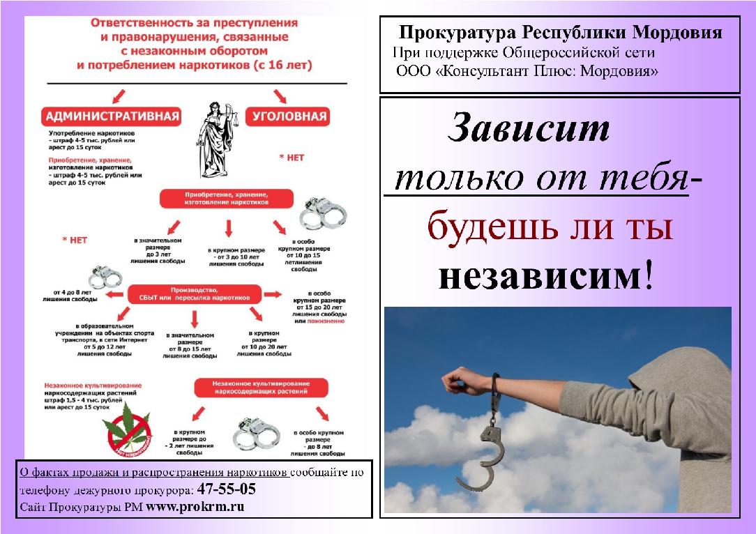 Вред законов. Ответственность за наркотики. Ответственность за распространение наркотиков. Ответственность подростков за наркоманию. Преступления и правонарушения связанные с незаконным оборотом.