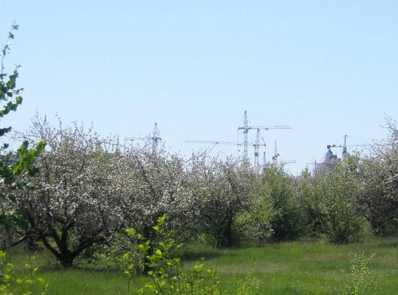 Дск яблоневые сады проект воронеж