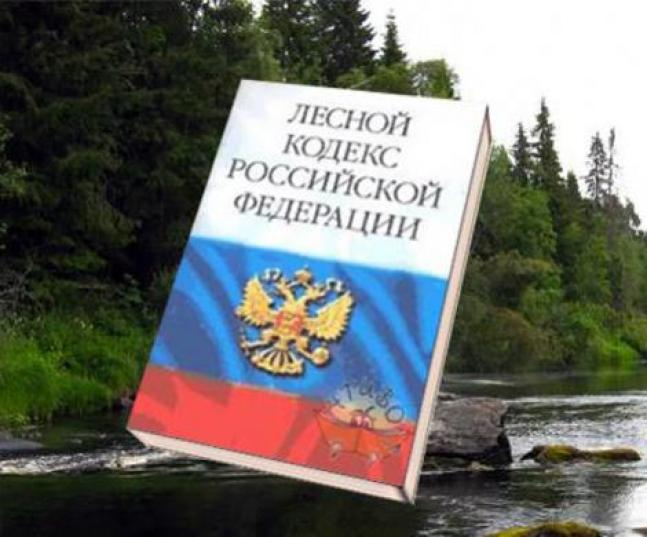 Лесной кодекс 2024 последняя редакция. Лесной кодекс. Лесное законодательство. Земельный и Лесной кодексы.