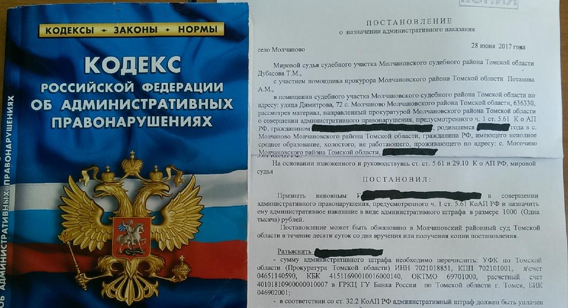 Статья 5 ноября
