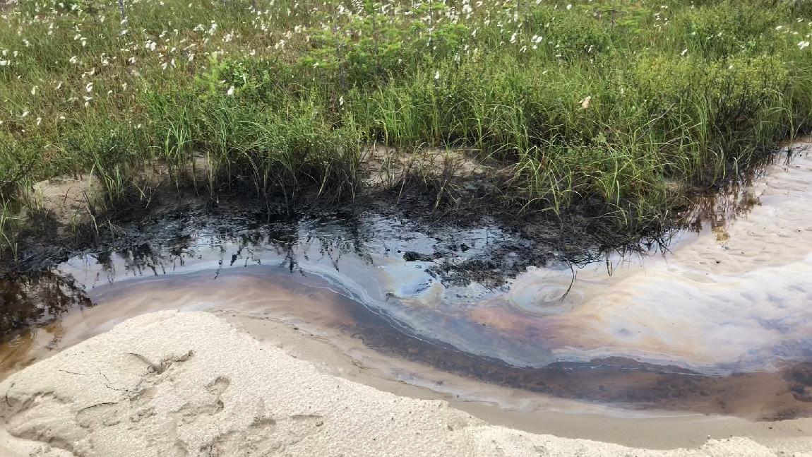 Нефтяные болота. Нефтяное болото. Внезапно блеснуло болотце. Болото нефтяное Ухта. Болото из нефти.