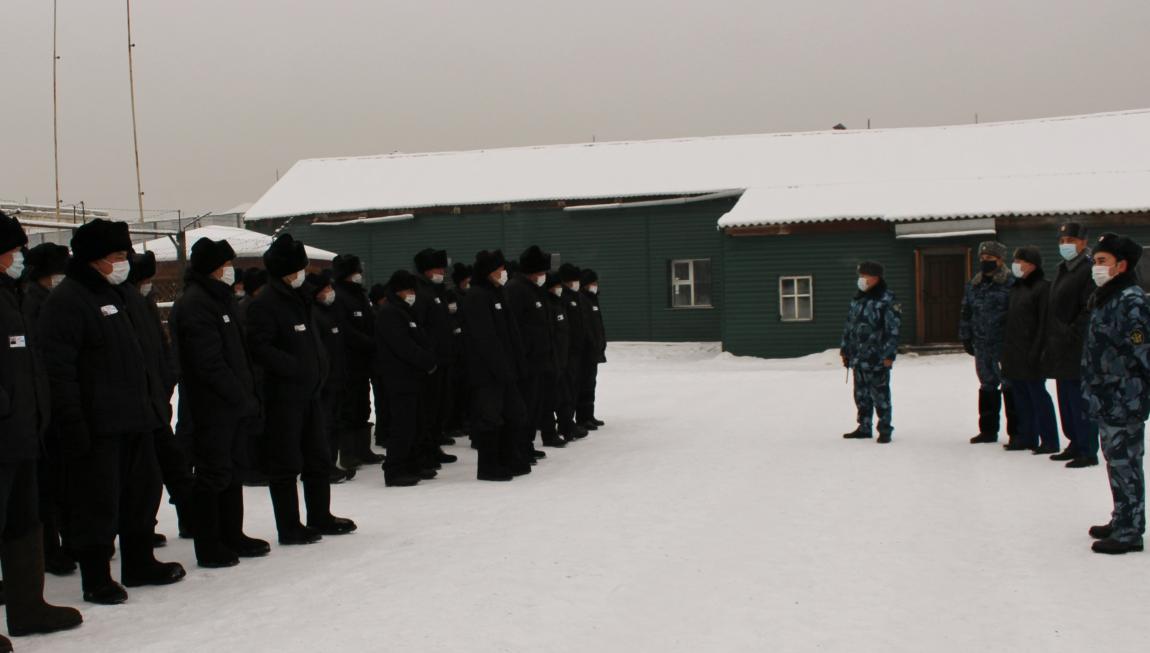 Хайрюзовка фото насекомое