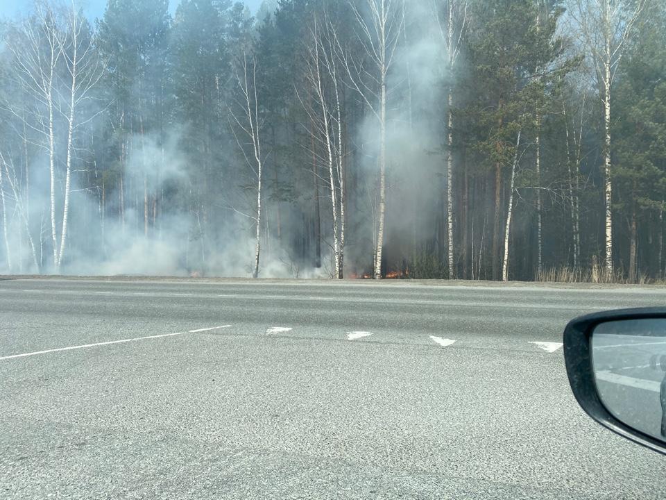 Погода в червишево на 3 дня