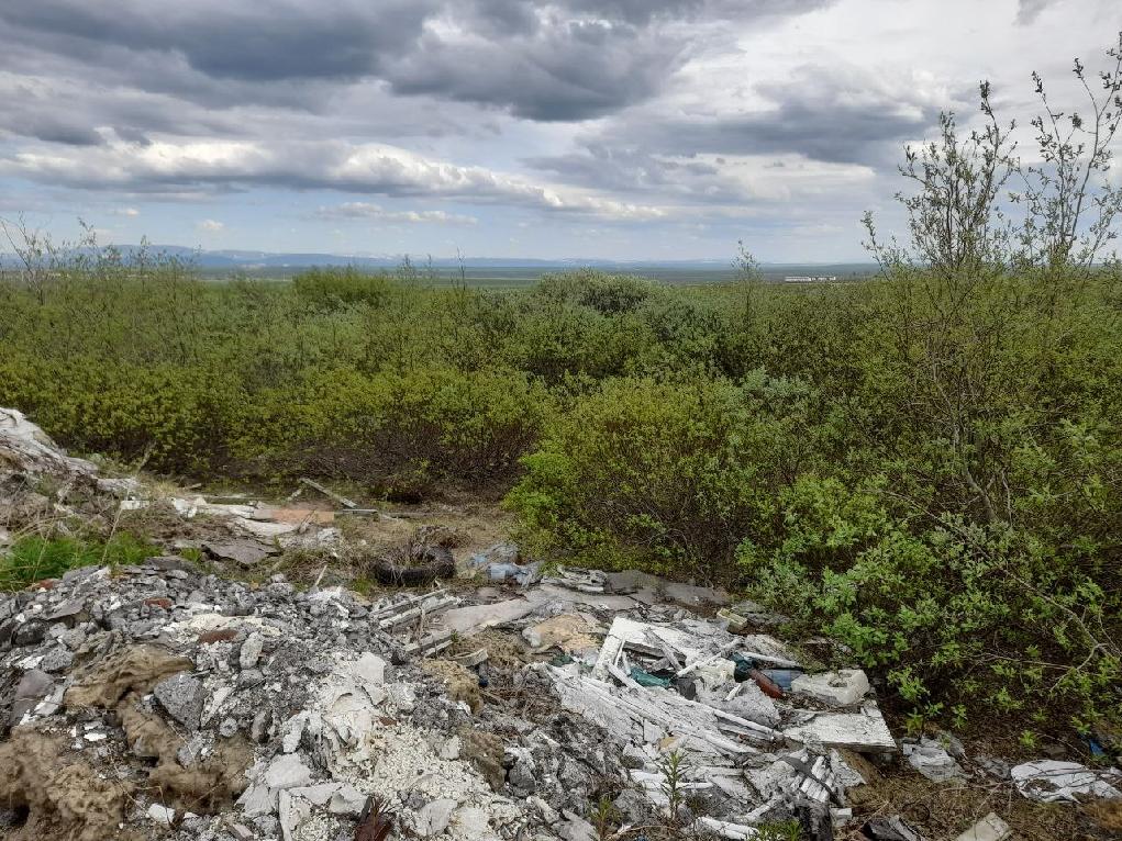 Тундра Республика Коми Воркута