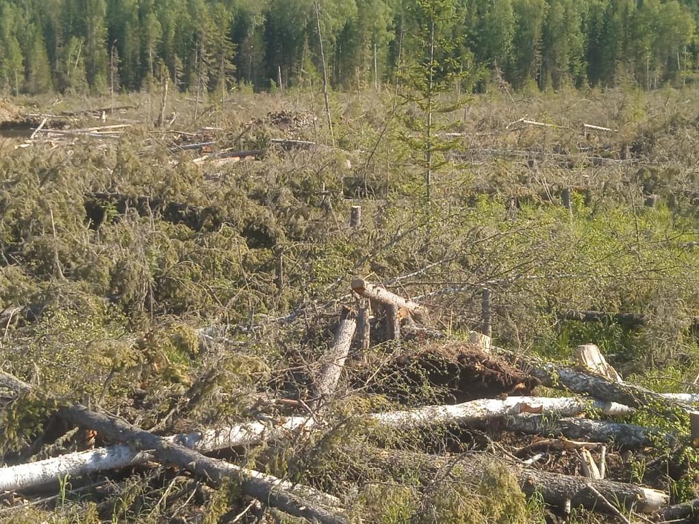 Предприятия Красноярского края опасные.