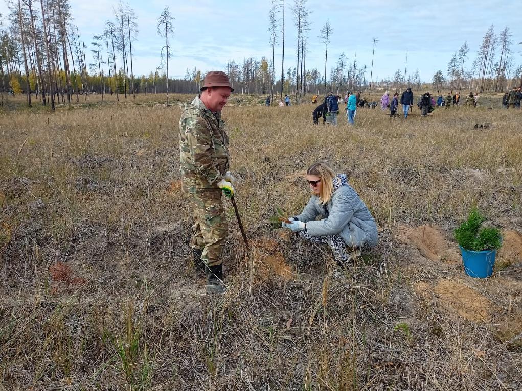 Воронежское управление лесного хозяйства. Воронеж лесхоз. Лесничество Воронеж.