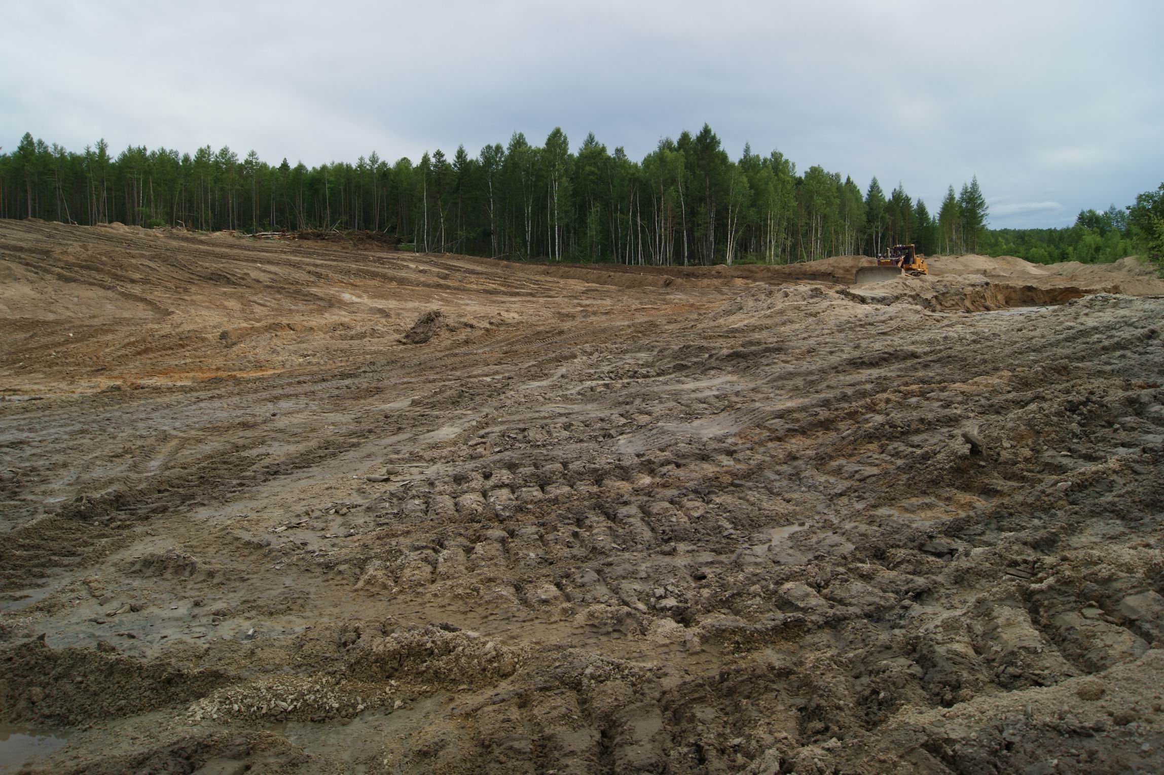 В Амурской области по иску природоохранной прокуратуры суд взыскал ущерб за снятие и перемещение плодородного слоя почвы при совершении незаконной рубки лесных насаждений 