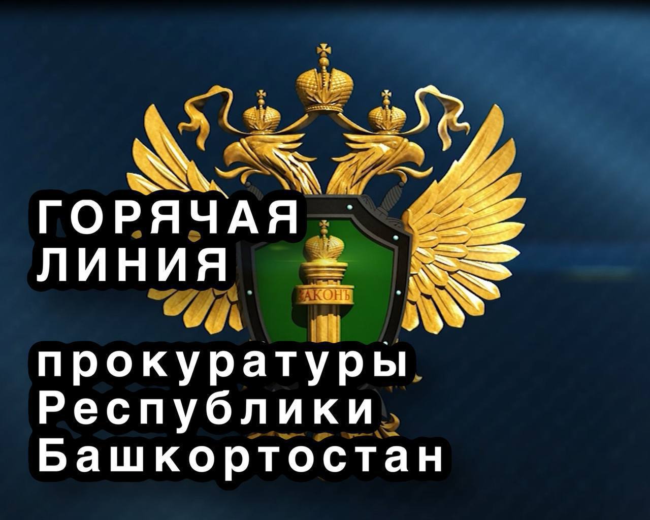 Горячая линия по вопросам оказания медпомощи и обеспечения лекарствами 