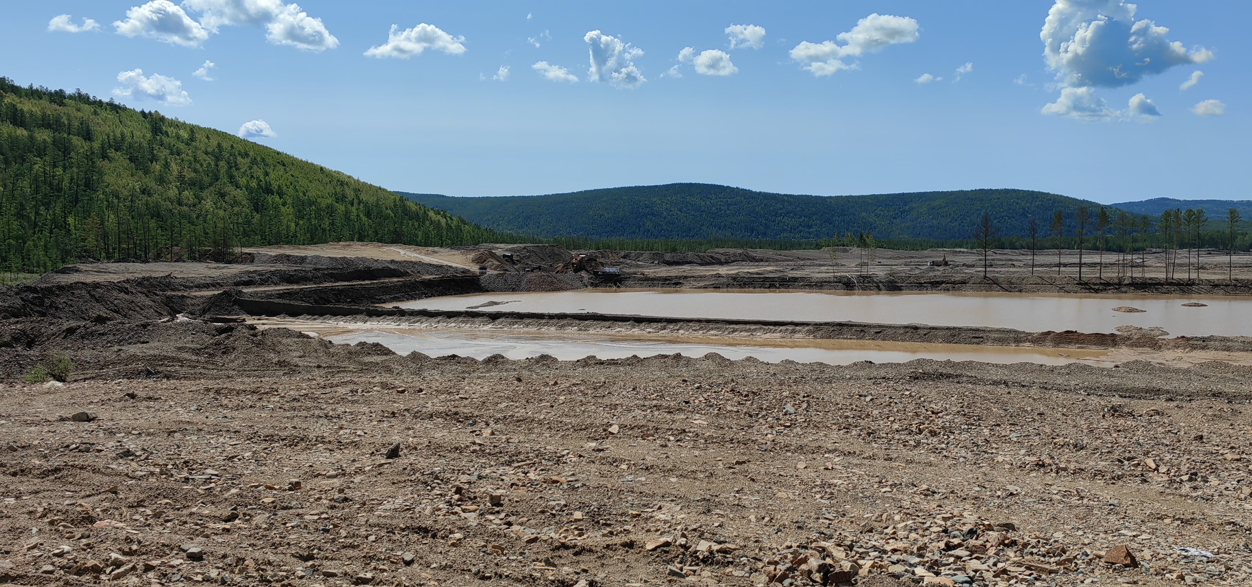 В Забайкальском крае по иску природоохранного прокурора с недропользователя взыскано 5,6 млн рублей ущерба, причиненного землям лесного фонда 