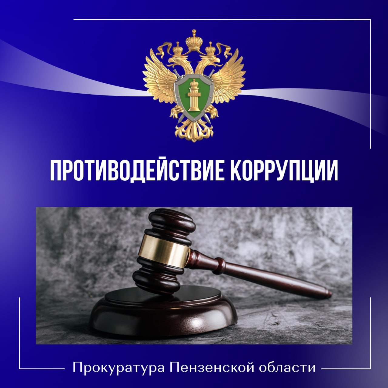 Прокуратура Пензенской области обобщила результаты работы по противодействию коррупции